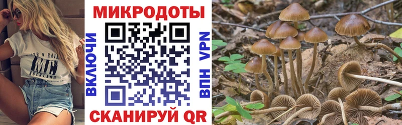 Псилоцибиновые грибы GOLDEN TEACHER  Тольятти 